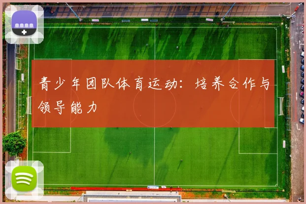青少年团队体育运动：培养合作与领导能力