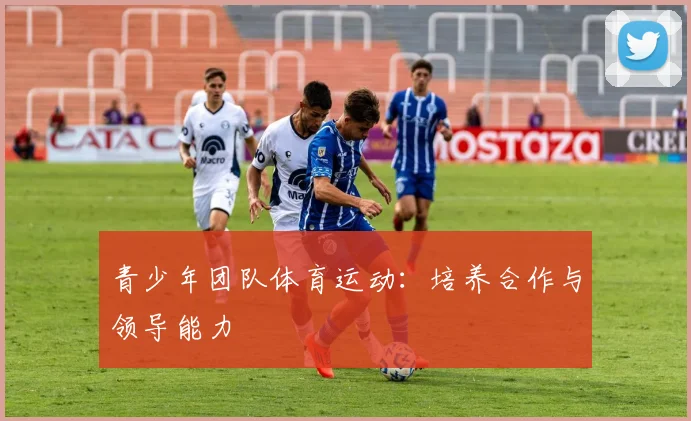 青少年团队体育运动:培养合作与领导能力